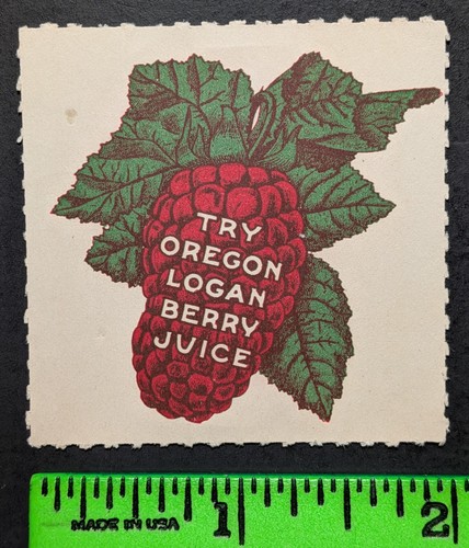 Vintage try oregon logan berry - vintage,
