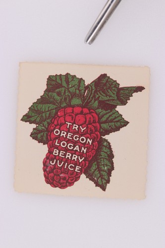 Oregon logan berry juice - logan,