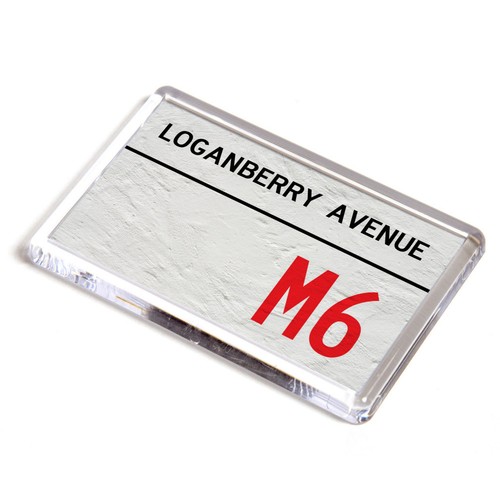Fridge magnet loganberry - magnet,
