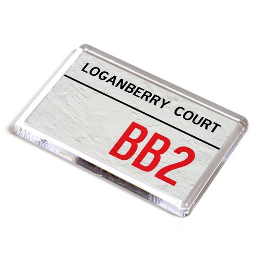 Fridge magnet loganberry - magnet,