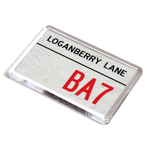 Fridge magnet loganberry - magnet,