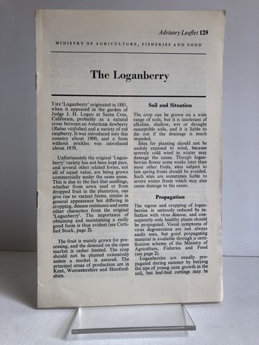 The loganberry ministry of - ministry,