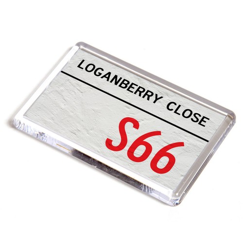 Fridge magnet loganberry - fridge,